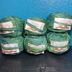 6X NWT Cascade Yarns 220 Superwash Paint 100% Superwash Wool Color 9770 Lot 5165